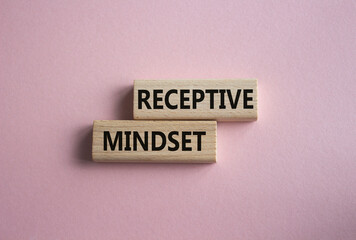 Receptive Mindset symbol. Concept word Receptive Mindset on wooden blocks. Beautiful pink background. Business and Receptive Mindset concept. Copy space