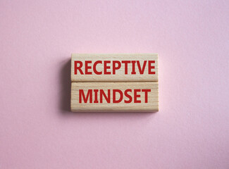 Receptive Mindset symbol. Concept word Receptive Mindset on wooden blocks. Beautiful pink background. Business and Receptive Mindset concept. Copy space