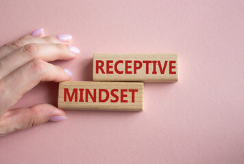 Receptive Mindset symbol. Concept word Receptive Mindset on wooden blocks. Businessman hand. Beautiful pink background. Business and Receptive Mindset concept. Copy space