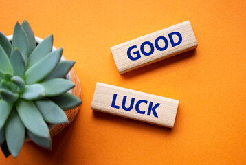 Good luck symbol. Wooden blocks with words Good luck. Beautiful orange background with succulent plant. Business and Good luck concept. Copy space.