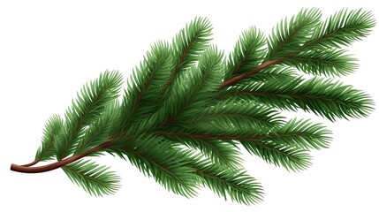 Spruce Branch Green Fir Realistic Christmas Tree Llustr