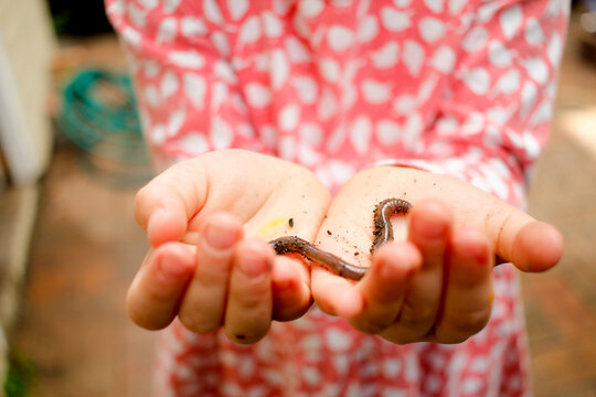 Close up shot of a girl holding a brown worm with both hands