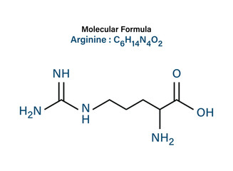Chemical formula of Arginine (Amino Acid in Skincare) molecule skeletal vector illustration.