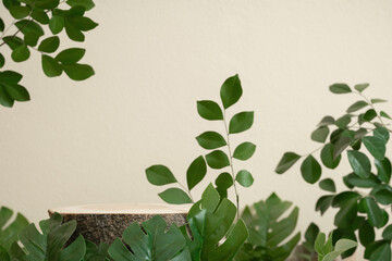 Wood podium with blurred green leaf plant on beige background.Beauty cosmetic natural mild product...