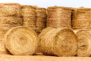 Large hay bales delivered and stacked for drought relief.