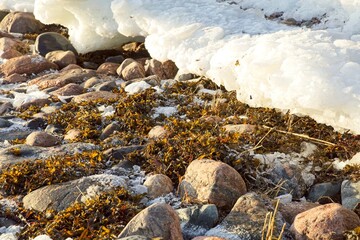 Winter seashore with ice and rocks, Kopparnäs, Finland.
