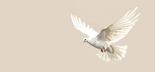 White Dove fly on pastel vintage background for Freedom concept and Clipping path