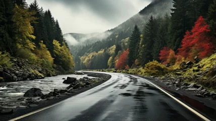 Foto op Plexiglas Driving on the motorway on a dark moody day with autumn colorful leaves. © Krisana