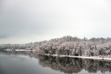 Snow covered trees lining Mississippi River in Winter