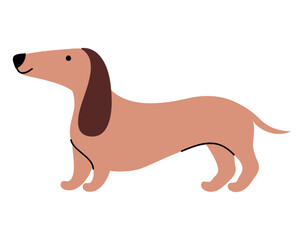 dachshund dog design