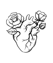 Drawing of Heart with Flowers Love Drawing.