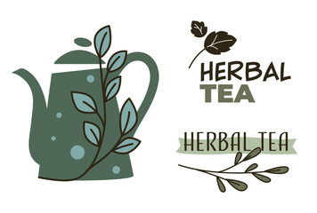 Herbal tea, teapot with herbs, mint branch vector