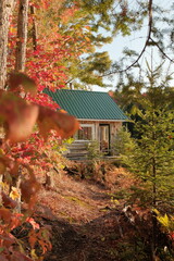 Autumn Cabin - 653817510