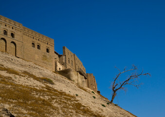 The Citadel, Erbil, Kurdistan, Iraq