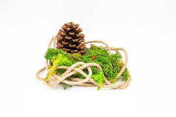 Jute rope with green stabilized lichen and a pine cone , natural backdrop  for product display, isolated on white