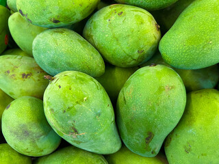 Group of Tropical Fruit Called Mango or Mangoes.