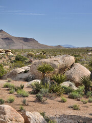 Mojave Park Narodowy