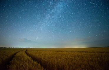 Milky way in the night starry sky above scenic road through wheat field - 653825337