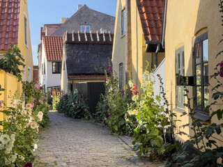 Fototapeta na wymiar Cobblestone alley with hollyhocks in the little Danish harbour town of Dragør just south of Copenhagen