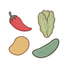 Vegetable Collection Set of Chili, Lettuce, Tomato and Cucumber