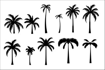 Fototapeta na wymiar Set of Tropical palm trees silhouettes black color isolated on white 