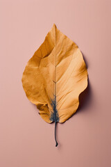 Yellow Leaf on Pale Pink Background