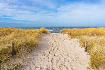 Strand an der Küste der Ostsee in der Nähe von Graal Müritz - 653833798