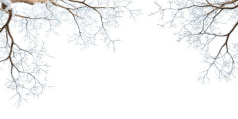 Foto op Plexiglas Snow covered branches of a tree on white © Buffstock
