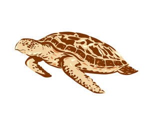 WPA poster art of a hawksbill sea turtle or Eretmochelys imbricata swimming viewed from side done in works project administration or federal art project style.
