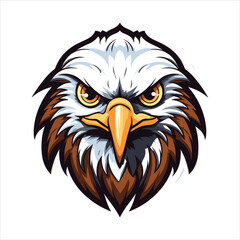 vector eagle  illustration
