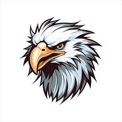 vector eagle  illustration