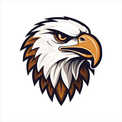 vector eagle  illustration