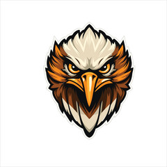 vector eagle  illustration