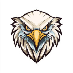 vector eagle  illustration