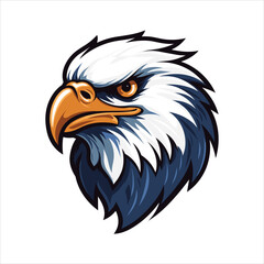 vector eagle  illustration