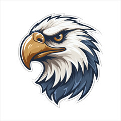 vector eagle  illustration