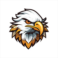 vector eagle  illustration