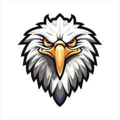 vector eagle  illustration