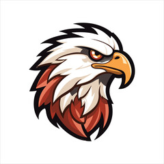 vector eagle  illustration