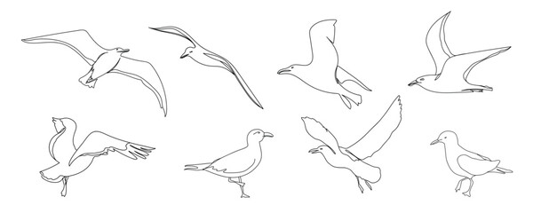 One line seagull hand drawn set. Outline seagull flying. Hand drawn minimalism style vector illustration. Beautiful sea life design elements.