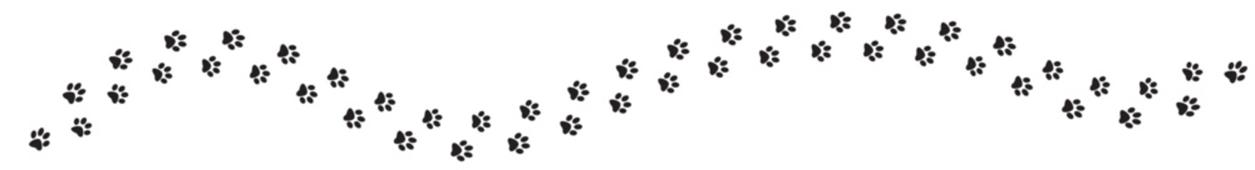 cat paws or steps. footprint of cat walking in zigzag path. Cat paws vector design. - obrazy, fototapety, plakaty