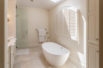 elegant residential bathroom in bright light