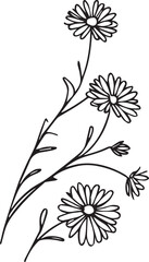 small black aster tattoo, aster flower drawing, aster flower drawing tattoo, drawing aster September flower tattoo, aster September birth flower tattoo