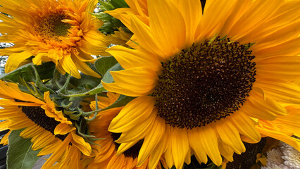 Sunflowers at an Autumn Market