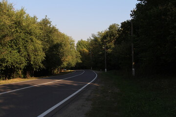 A road with trees on either side