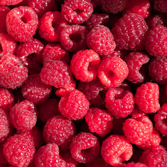 Ripe raspberry Raspberry background. Juicy ripe organic raspberries. Fresh berries