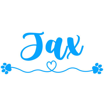 Jax Name for Baby Boy Dog