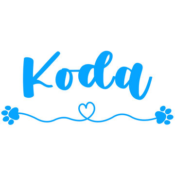 Koda Name for Baby Boy Dog