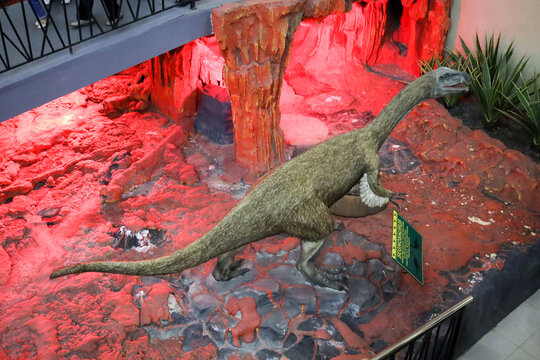 East Java, Indonesia - August 14, 2023. Fossil and Satue of a T-rex dinosaur in the Dino Park for study tour and education in Jatim Park 3, Indonesia.