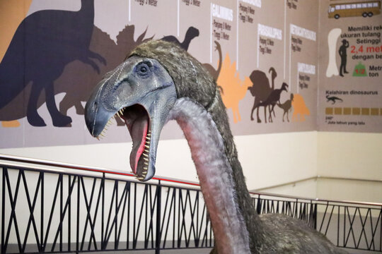 East Java, Indonesia - August 14, 2023. Fossil and Satue of a T-rex dinosaur in the Dino Park for study tour and education in Jatim Park 3, Indonesia.